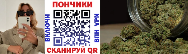 Бошки Шишки гибрид  Купить где  Осташков 